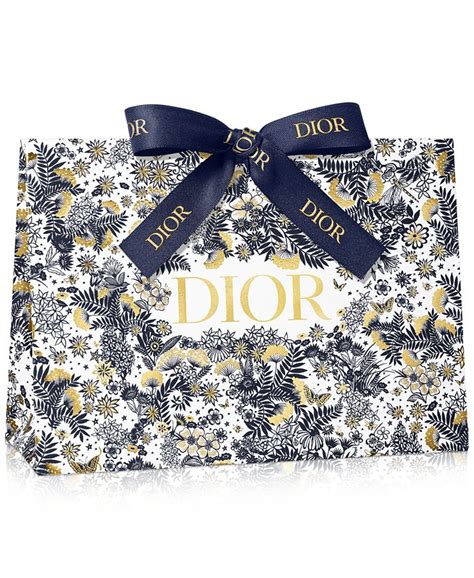 dior holiday gift bag|dior shop online bags.